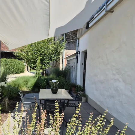 Backhaus Apartament